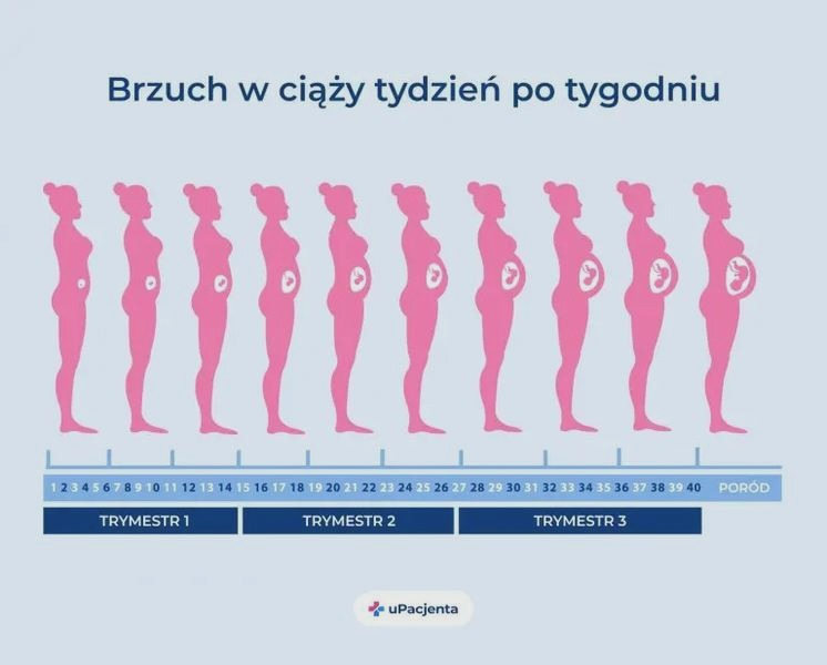 Jak wygląda dziecko w 23. tygodniu ciąży? Rozwój, wielkość i zdjęcie USG