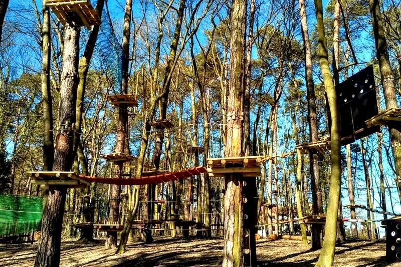 Odkryj park linowy Szczecin: atrakcje, trasy i ceny dla całej rodziny