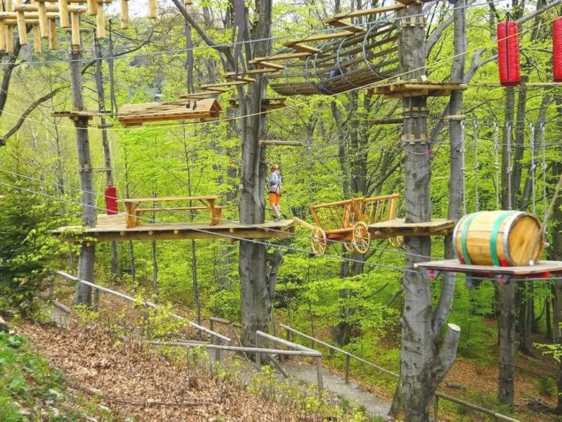 Park linowy Konin – przeżyj niezapomniane przygody w sercu natury
