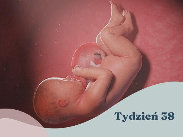 38 tydzień ciąży