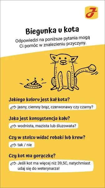 Biegunka u kotki