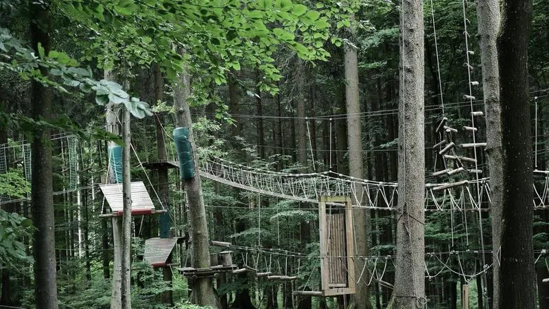 Cennik biletów gibon