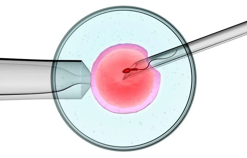 Ciąża po in vitro
