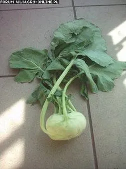 Kostium dla dzieci