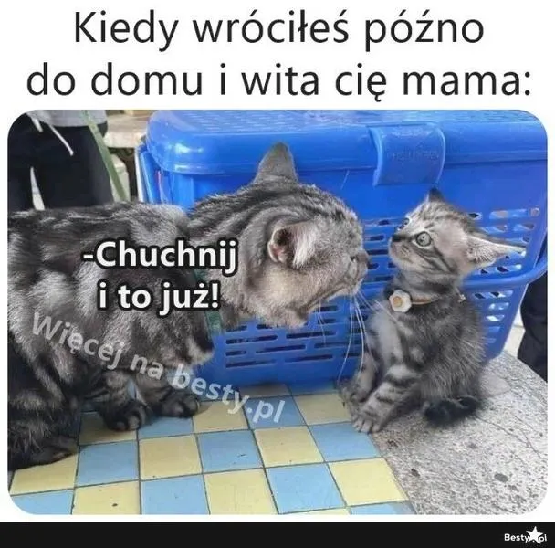 Omijanie kontroli rodzicielskiej