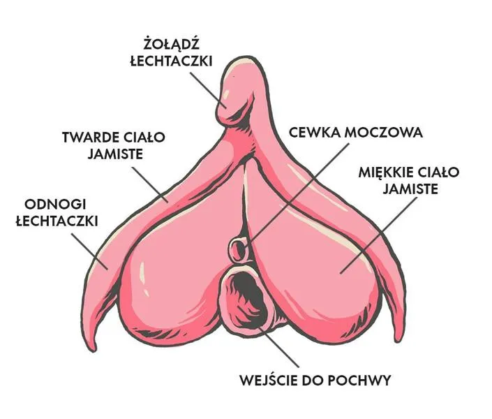 Orgazm łechtaczkowy a poród