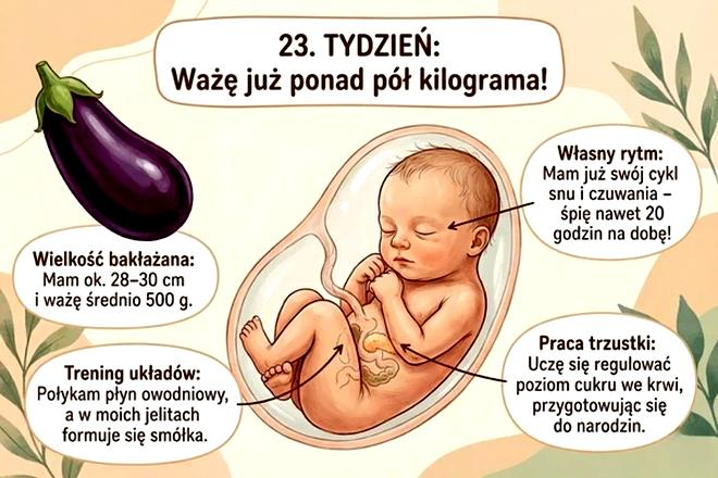 Rozwój dziecka w ciąży