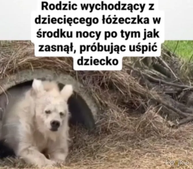 Spokojny sen maluchów