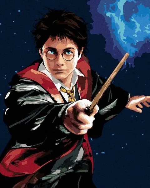 Strój Harry'ego Pottera