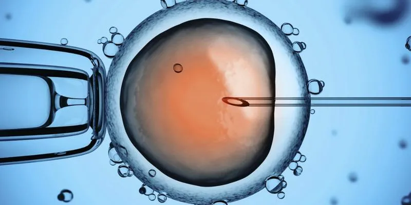 Termin porodu po in vitro