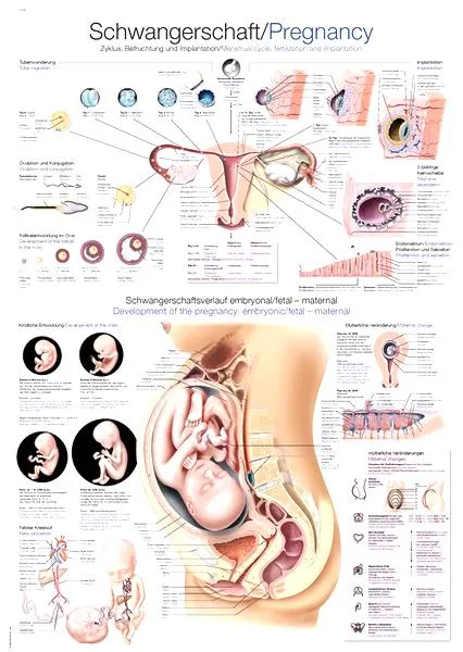 Zmiany hormonalne